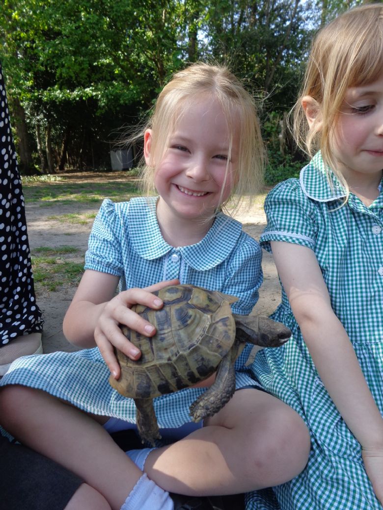 Tortoise Visit